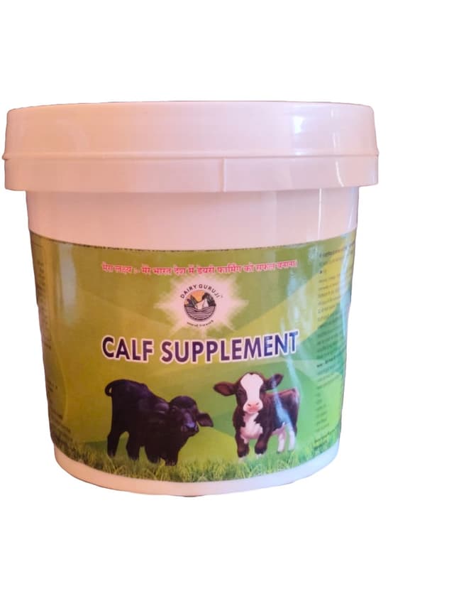 Calf-Supplement